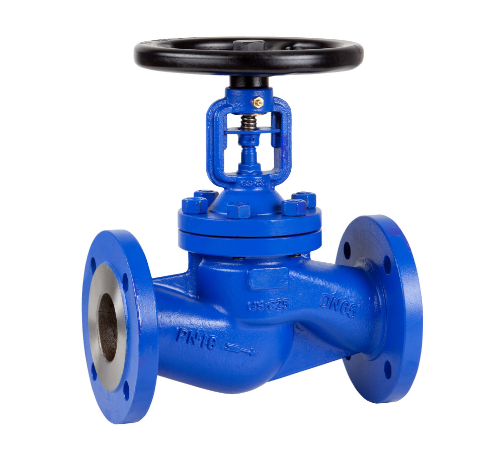globe valve